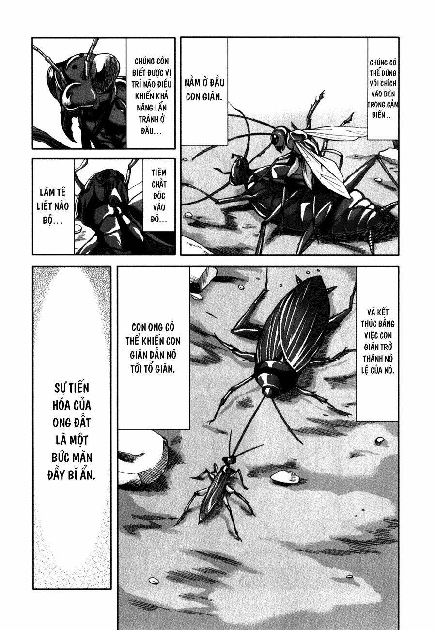 Arachnid Chương 26 Ảnh 30