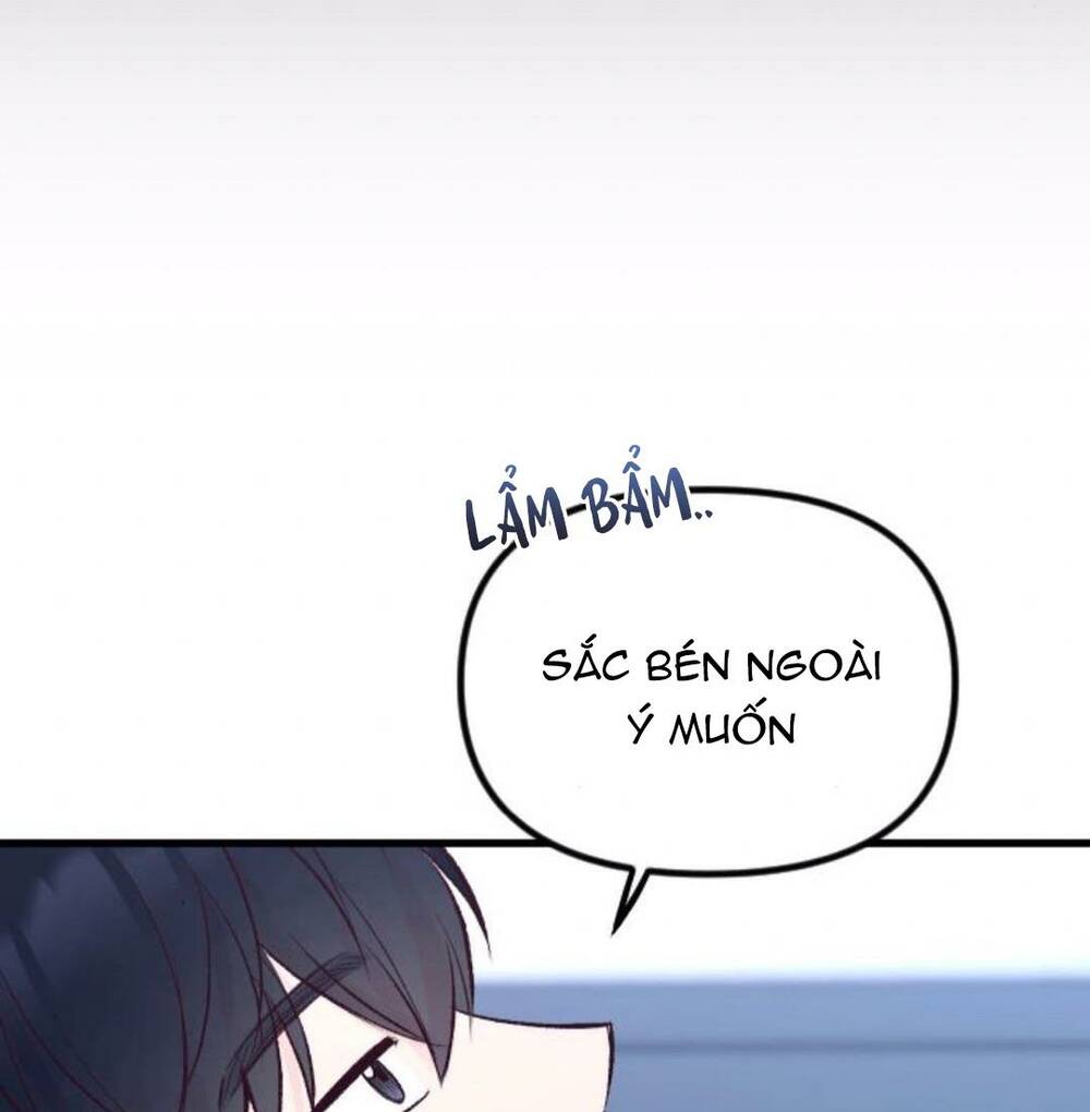 Tình Cờ Ta Gặp Nhau Chương 5 Ảnh 65