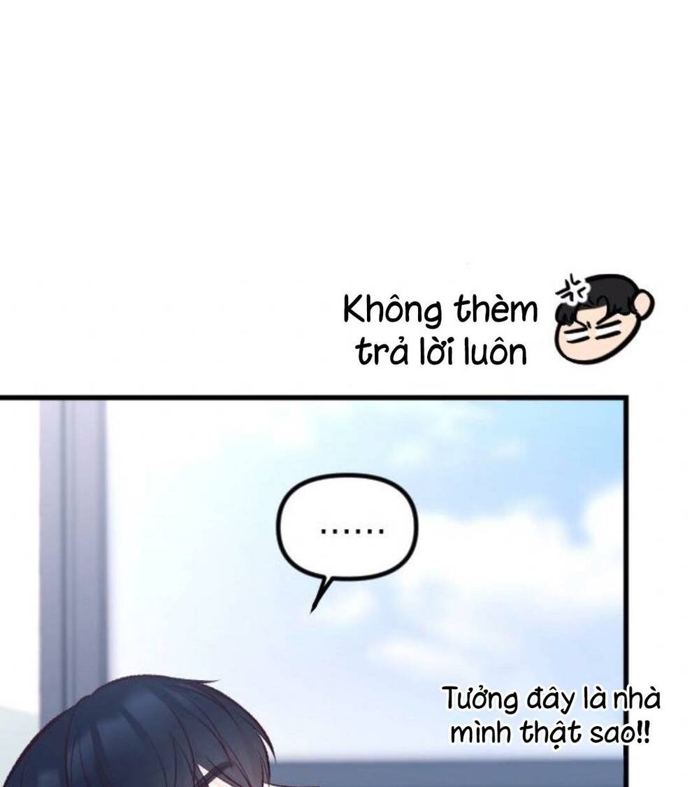 Tình Cờ Ta Gặp Nhau Chương 5 Ảnh 61