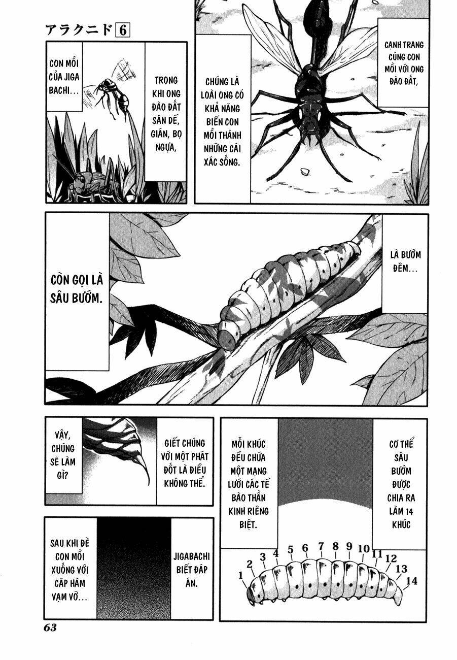 Arachnid Chương 28 Ảnh 6