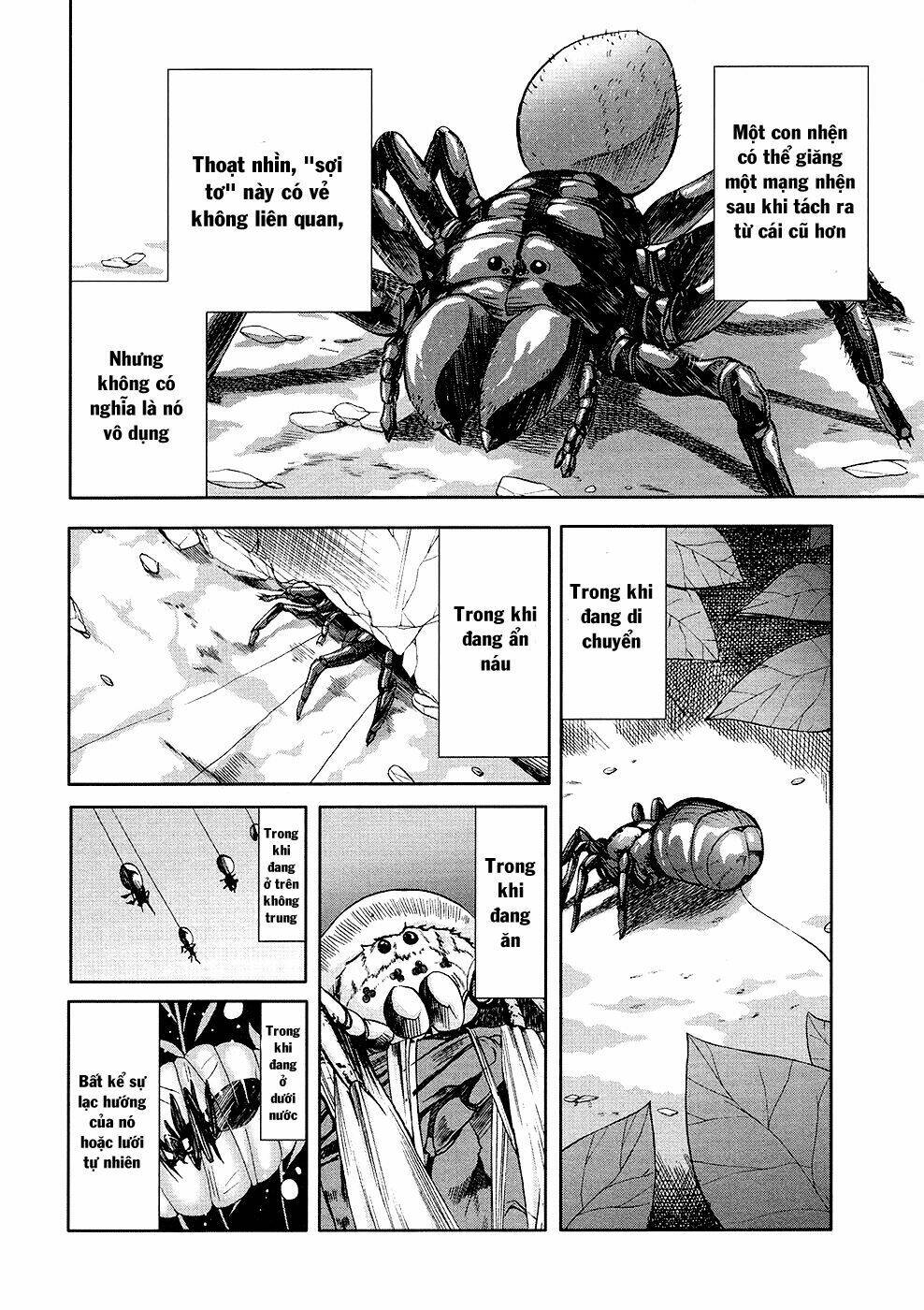 Arachnid Chương 31 Ảnh 35