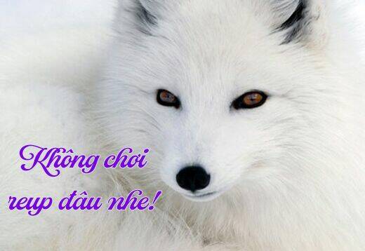 Ookami He No Yomeiri Chương 2 Ảnh 24