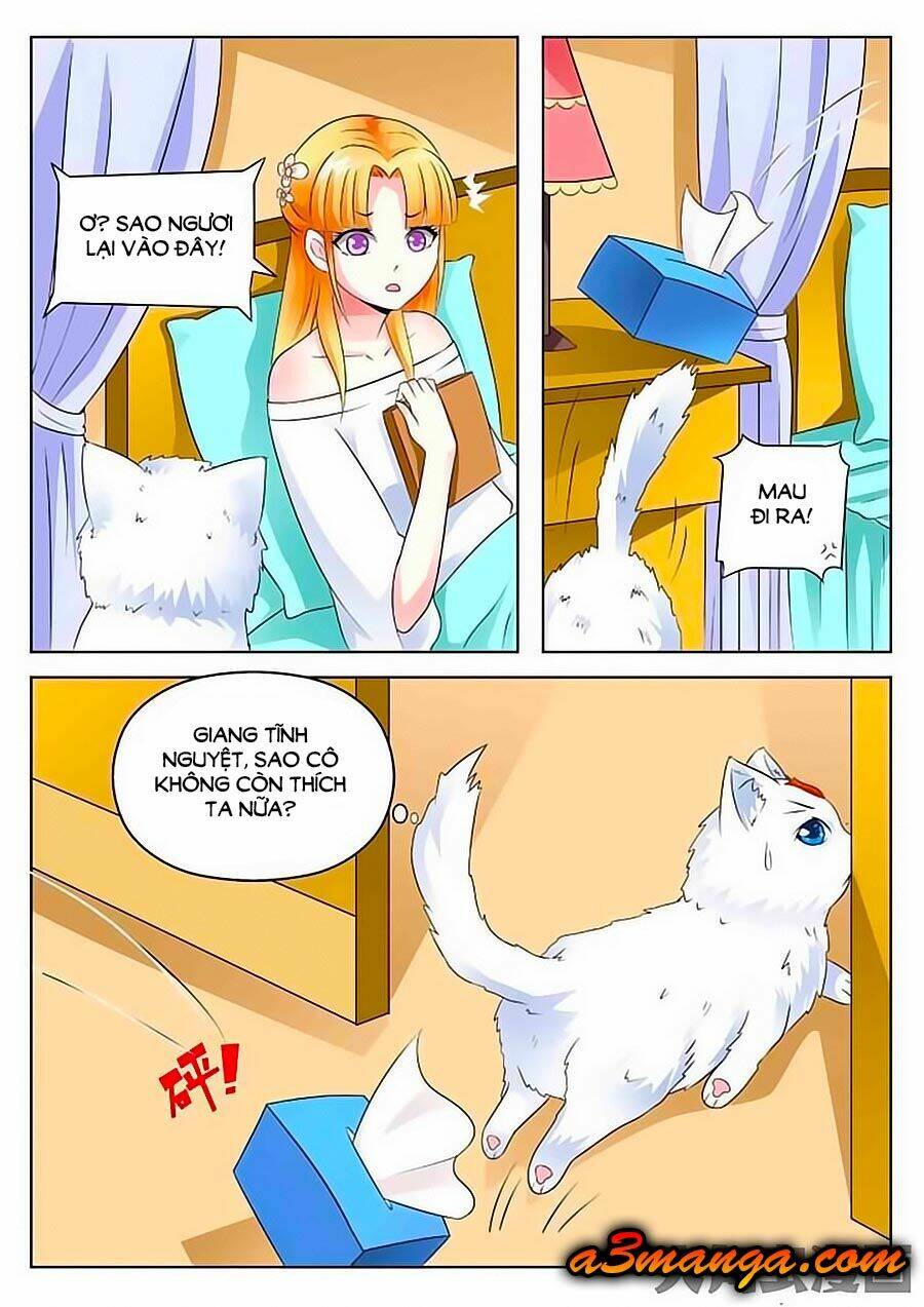 Mau Lấy Con Mèo Đó Ra Chương 2 Ảnh 12