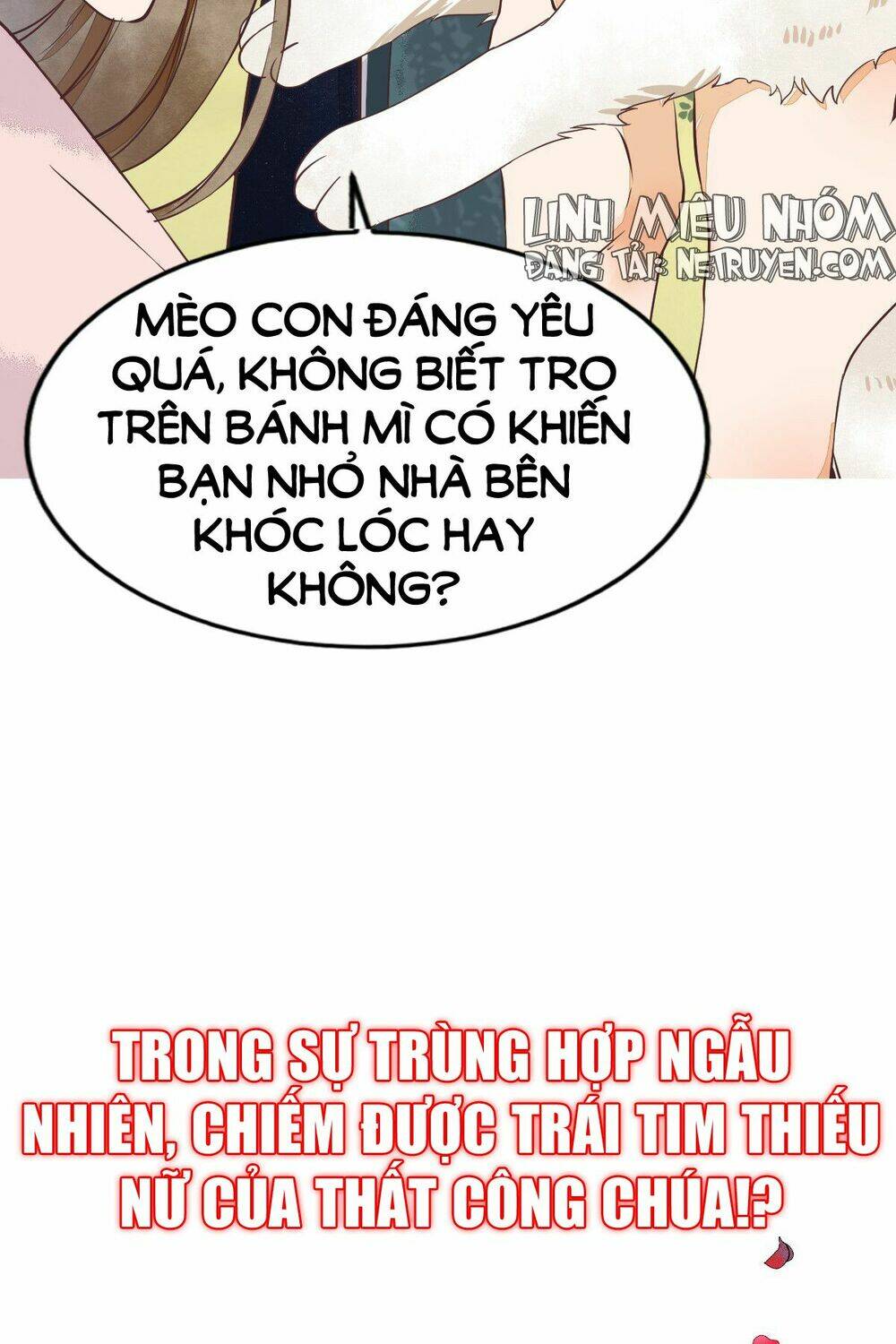 Sát Thủ Vương Phi Không Dễ Đối Phó Chương 1 Ảnh 19