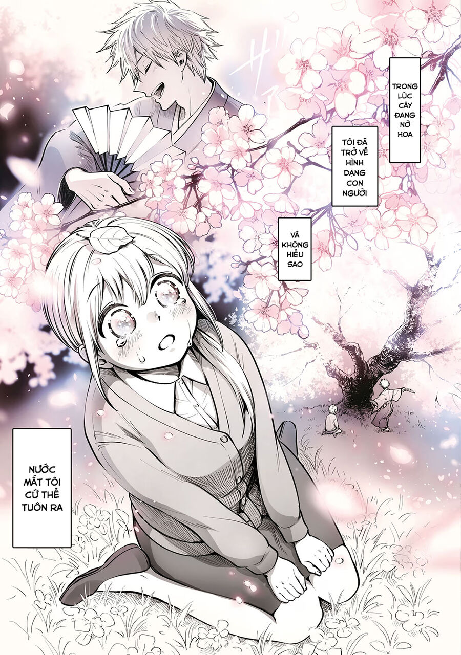 Omae, Tanuki Ni Naranee Ka? Chương 18 Ảnh 8
