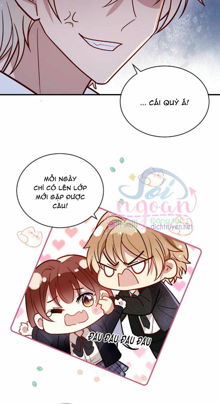 Em Là Bạc Hà Mèo Của Tôi Chương 33 Ảnh 5