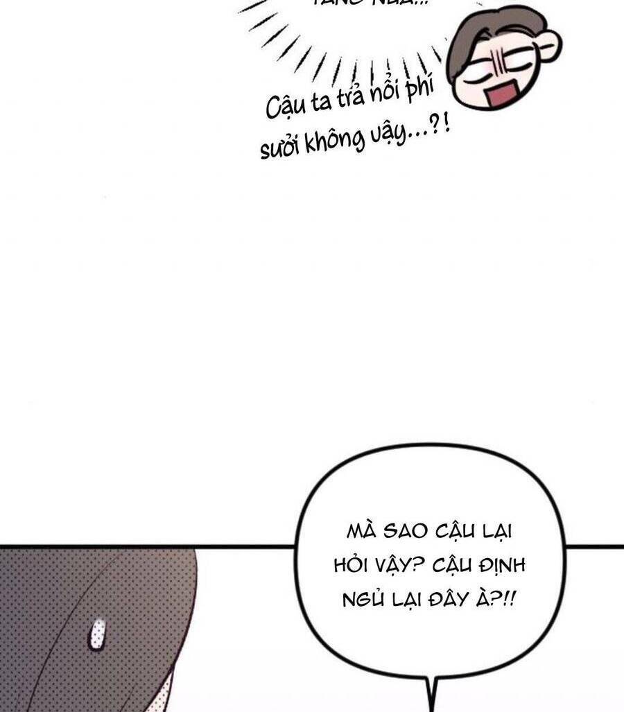 Tình Cờ Ta Gặp Nhau Chương 8 Ảnh 32