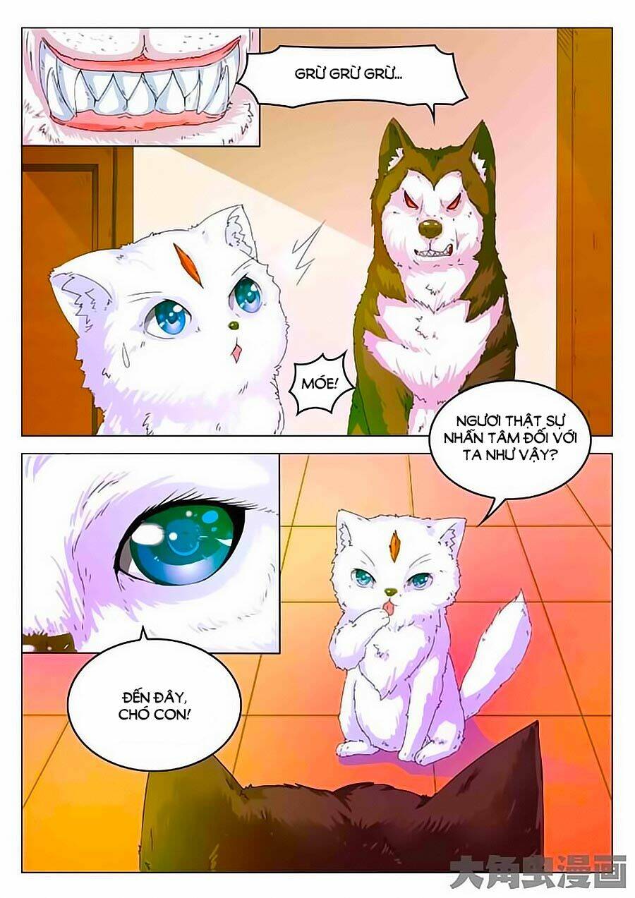Mau Lấy Con Mèo Đó Ra Chương 2 Ảnh 14