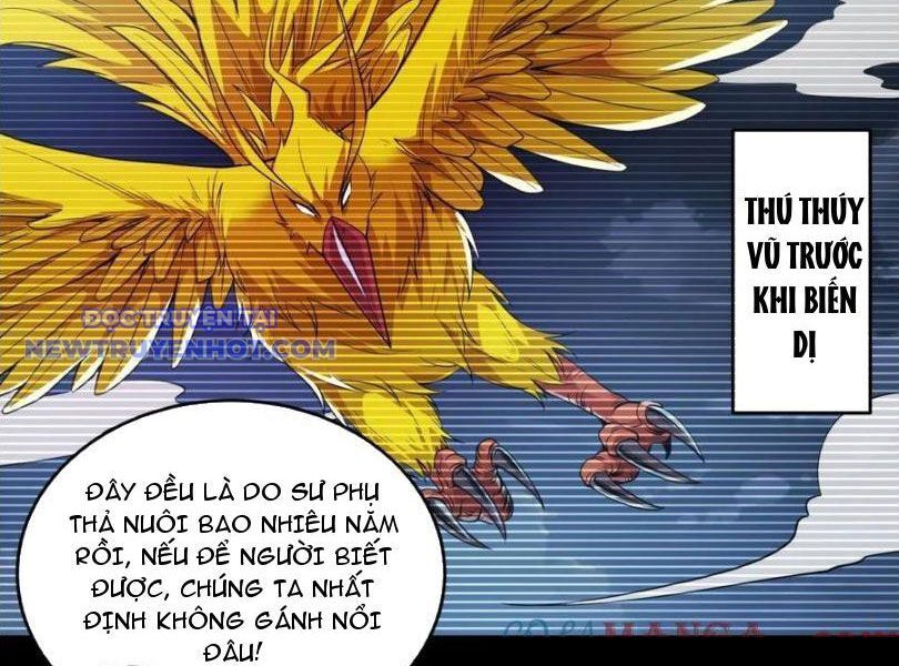 Ta Nhặt Đồ Bỏ Tại Tận Thế Chương 30 Ảnh 11