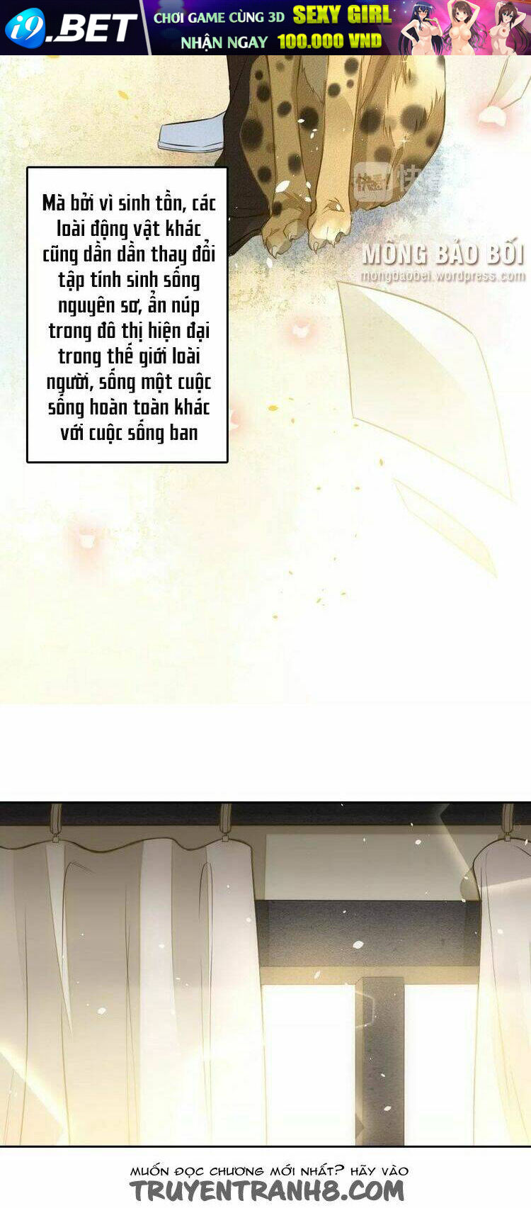 Ái Thần Nghiêm Phạt Chương 24 Ảnh 8