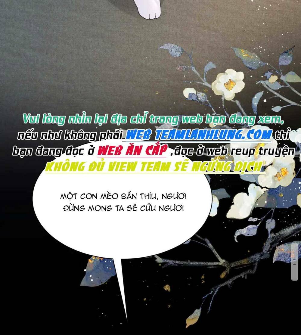 Bệnh Kiều Công Chúa Muốn Hắc Hóa Chương 15 Ảnh 34