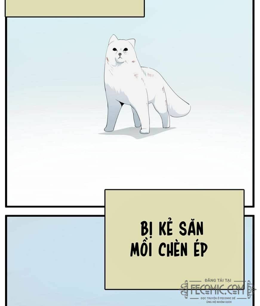 Vật Trong Tay Chương 95 Ảnh 4