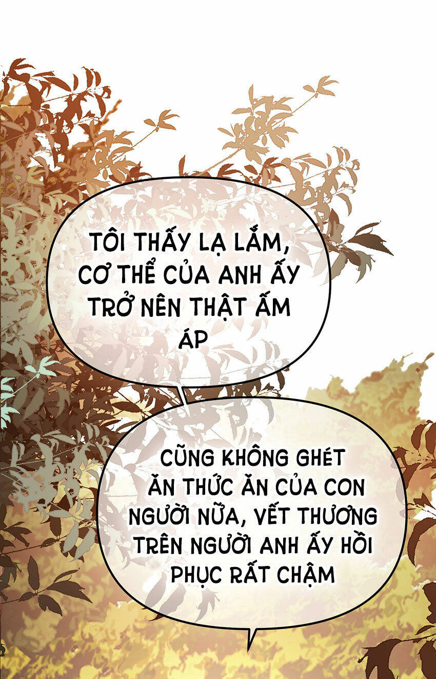 Ác Ma May Mắn Chương 68 Ảnh 12