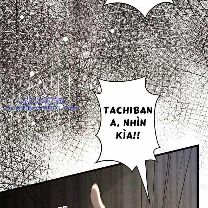 Ah, Thật Tuyệt Khi Còn Sống Chương 33 Ảnh 113