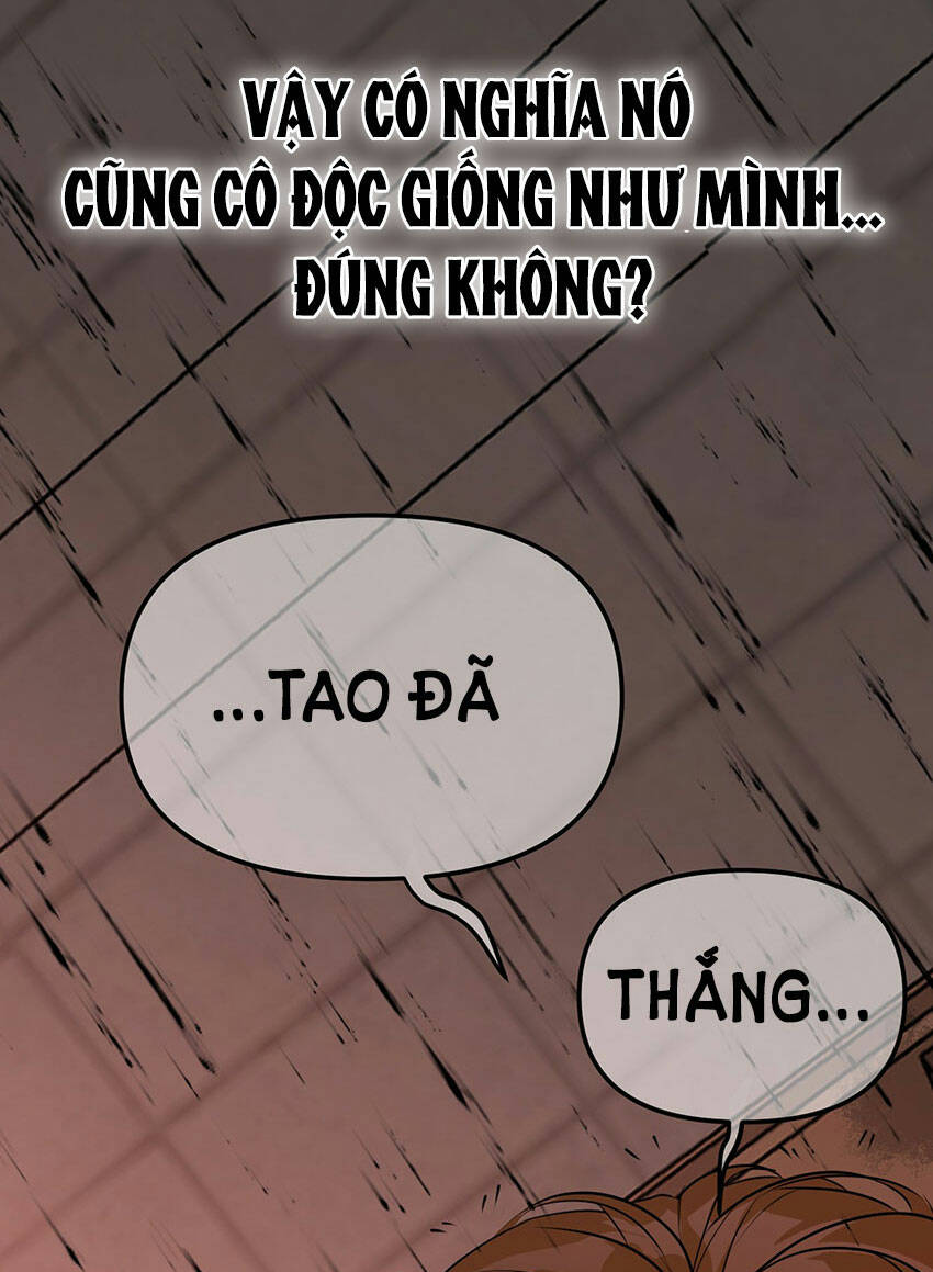 Ác Ma May Mắn Chương 65 Ảnh 44