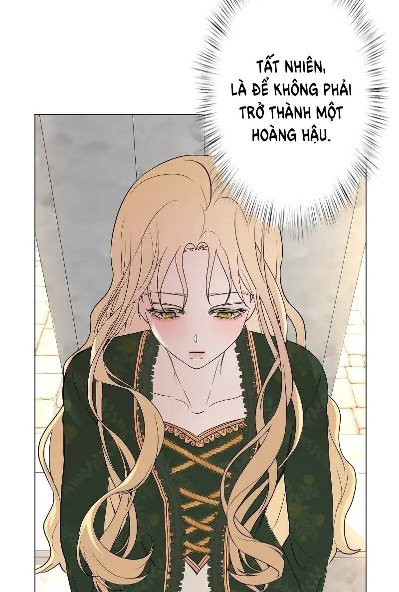 Tôi Đã Phá Vỡ Cuộc Hôn Nhân Chính Trị Chương 7 Ảnh 82