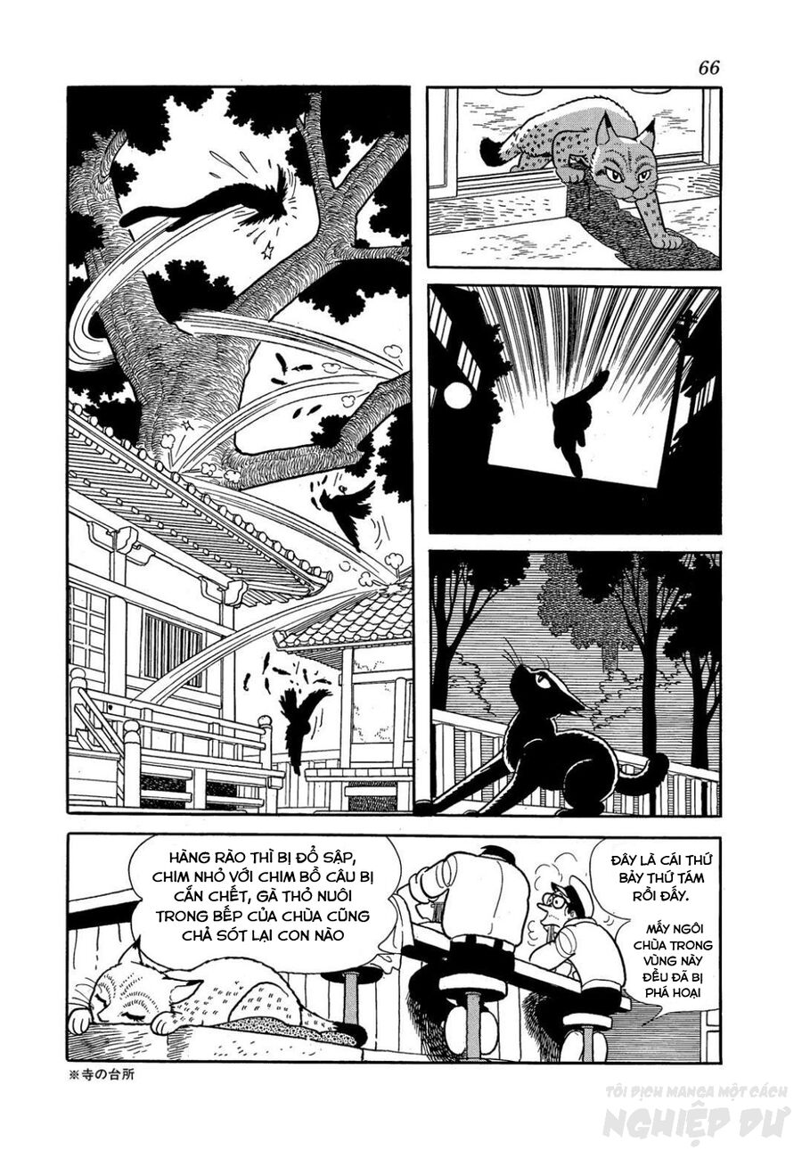 Black Jack Gaiden: Midnight Chương 3 Ảnh 12