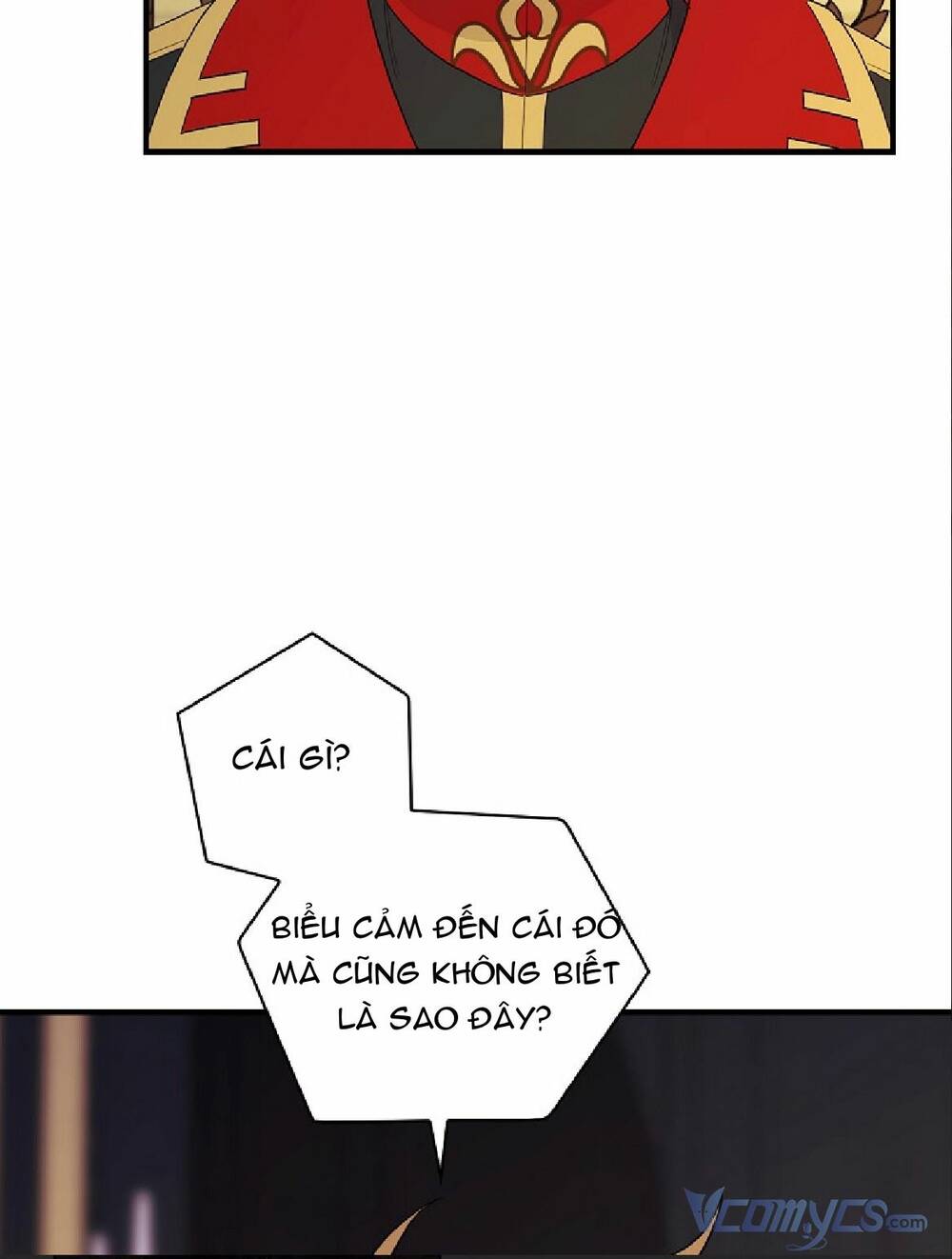 Hiệp Sĩ Hoa Băng Chương 67 Ảnh 65