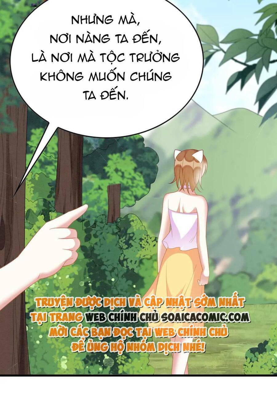 Được Chồng Rắn Siêu Sủng Khi Xuyên Qua Thú Thế Chương 94 Ảnh 42