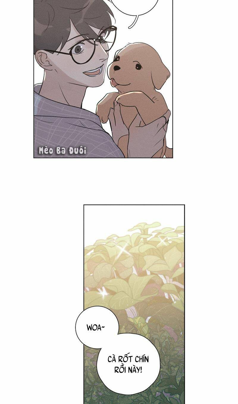 Here U Are Chương 134 Ảnh 4