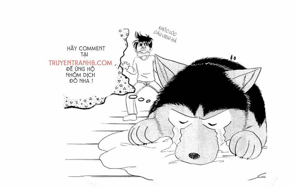 Wild Half Chương 11 Ảnh 24