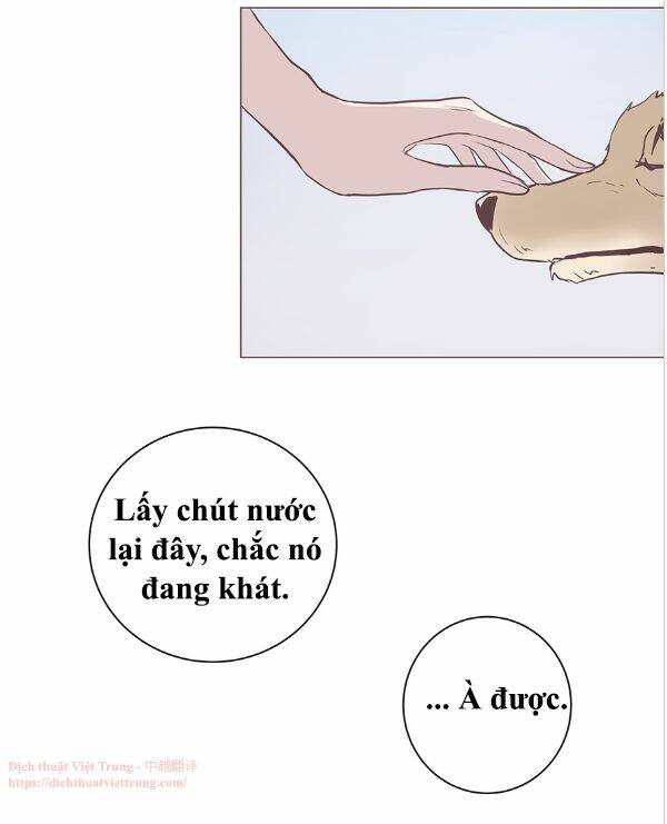 Yêu Trong Giam Cầm Chương 47 Ảnh 12
