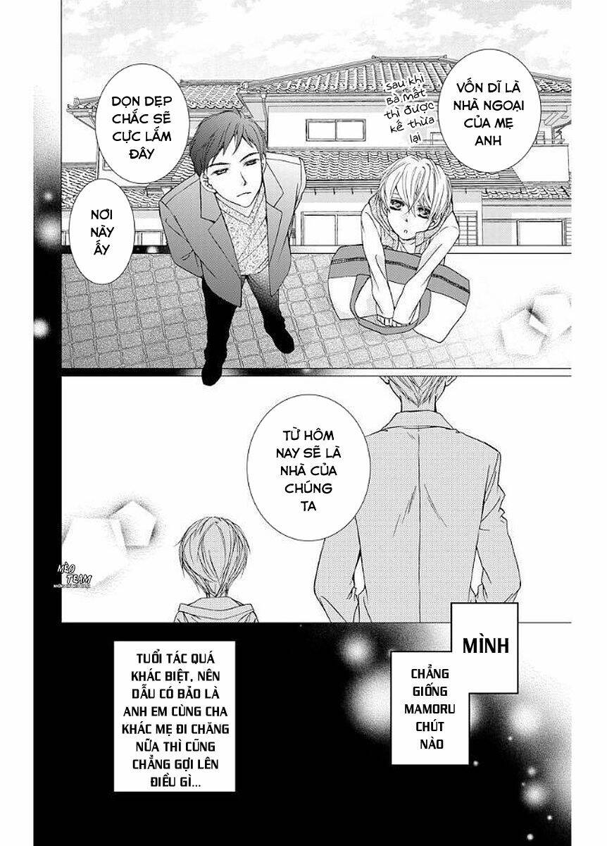 Kekkon X Renai Chương 10 Ảnh 7