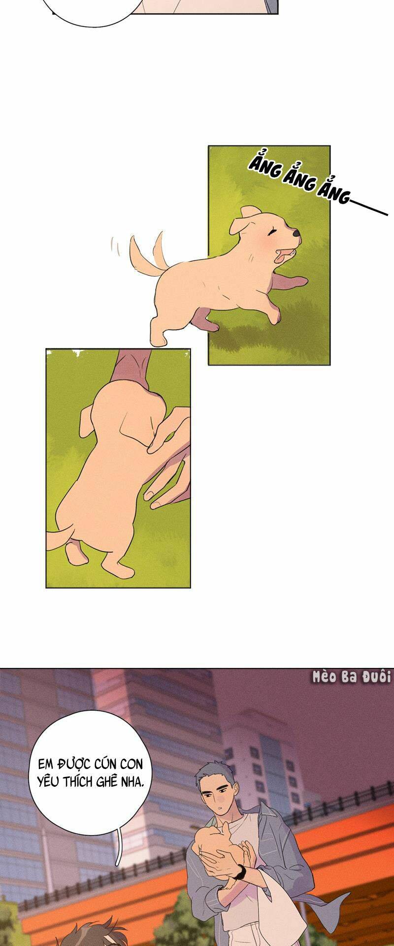 Here U Are Chương 134 Ảnh 19