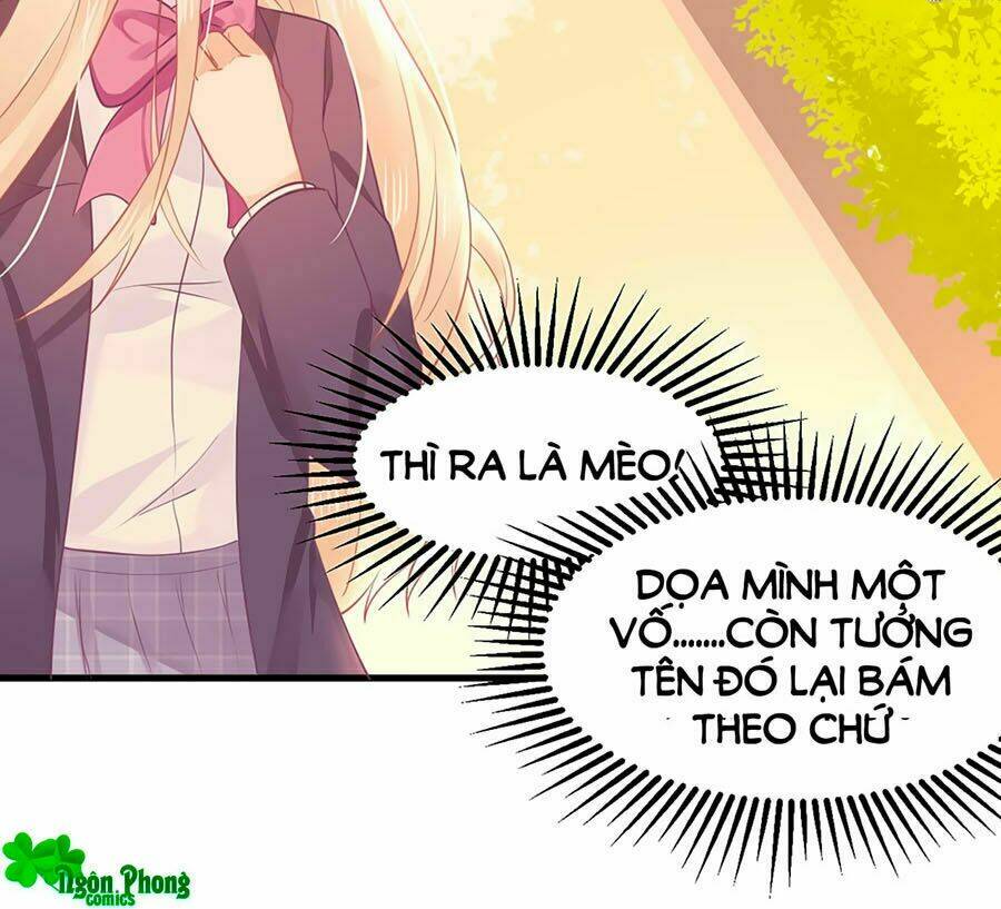 Bọn Họ Đều Muốn Gả Cho Tôi Làm Sao Đây? Chương 9 Ảnh 9