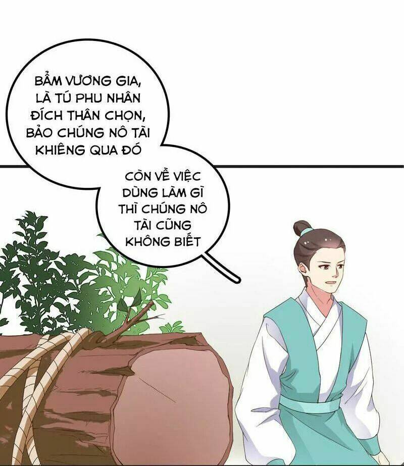 Pháo Hôi Nữ Xứng - Hoàn Khố Lệ Vương Phi Chương 10 Ảnh 11