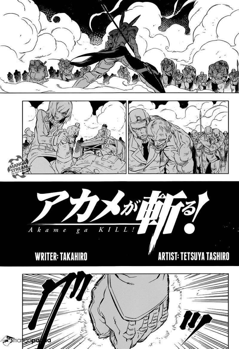 Akame Ga Kiru! Chương 71 Ảnh 6