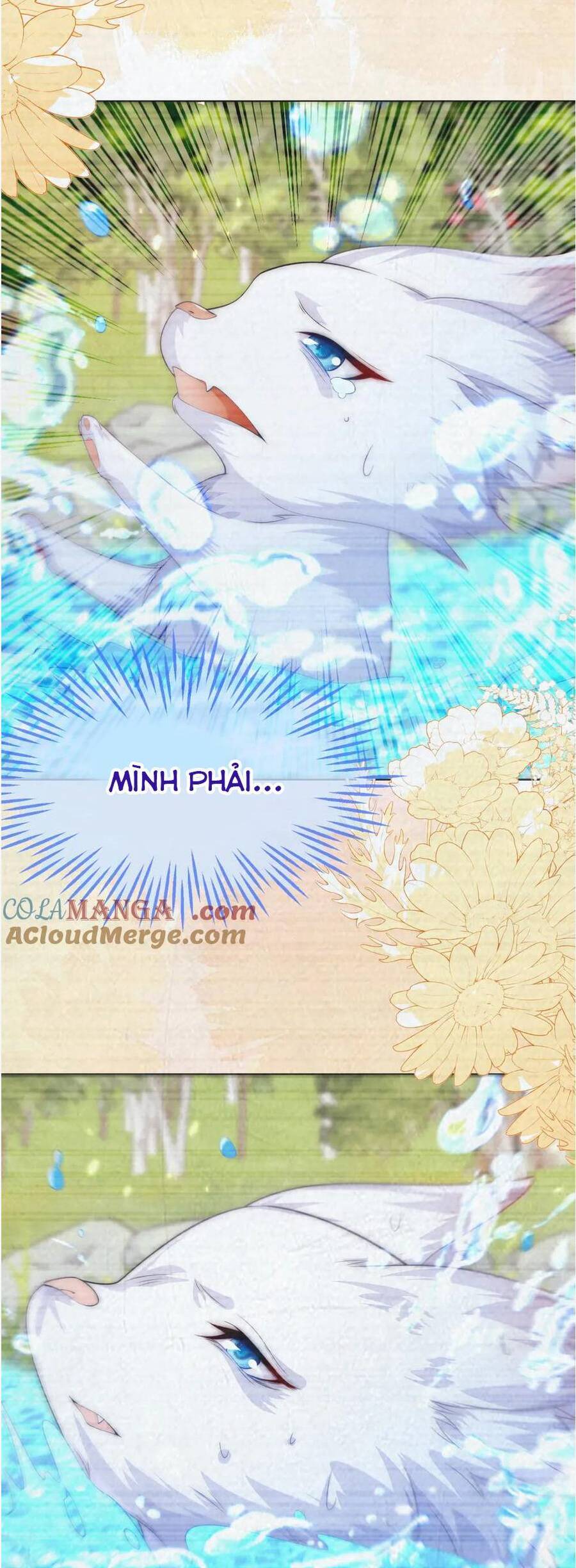 Vừa Mới Huỷ Hôn Đã Bị Dã Hồ Ly Lừa Kết Hôn Chương 56 Ảnh 36