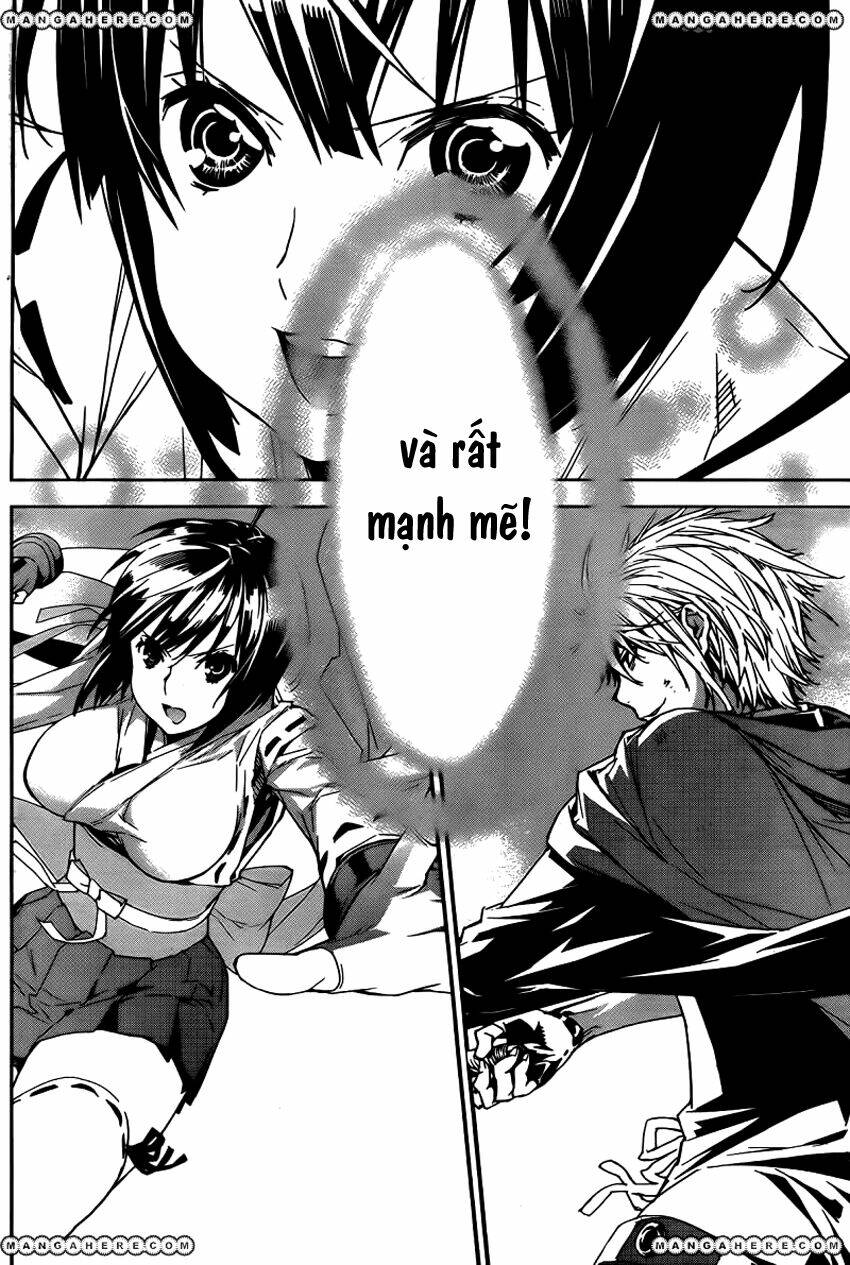 Sekirei Chương 165 Ảnh 12