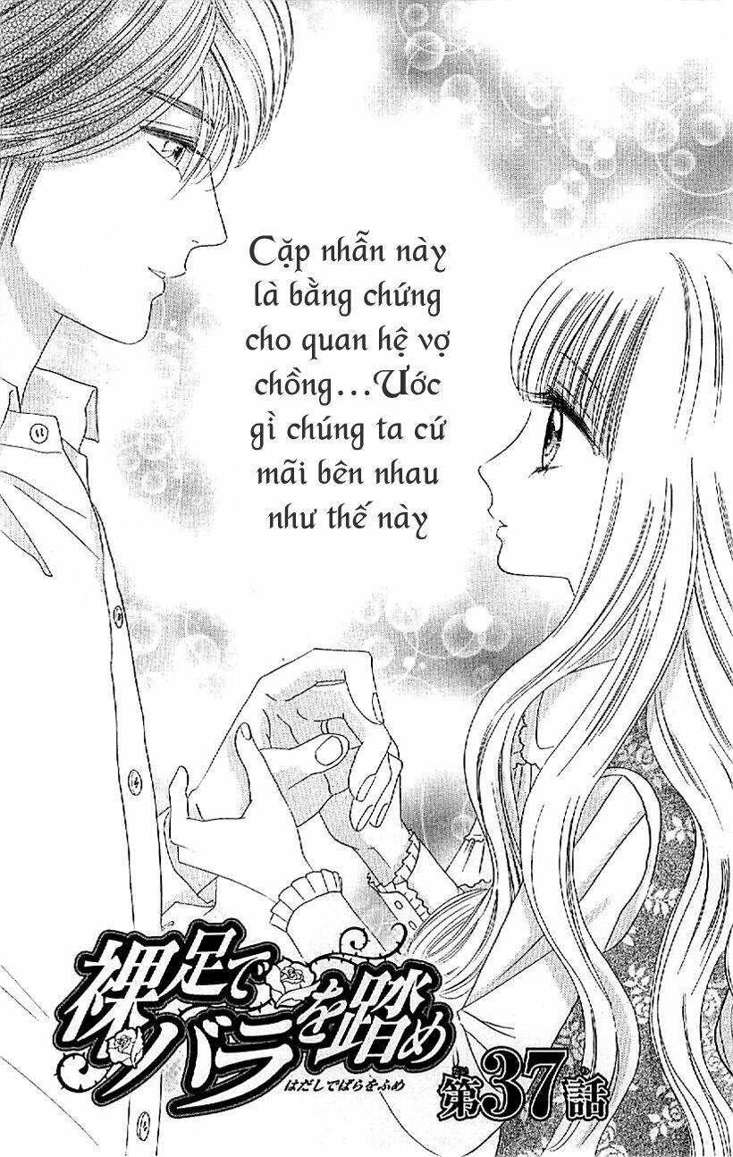 Hoa Hồng Đỏ Chương 37 Ảnh 4