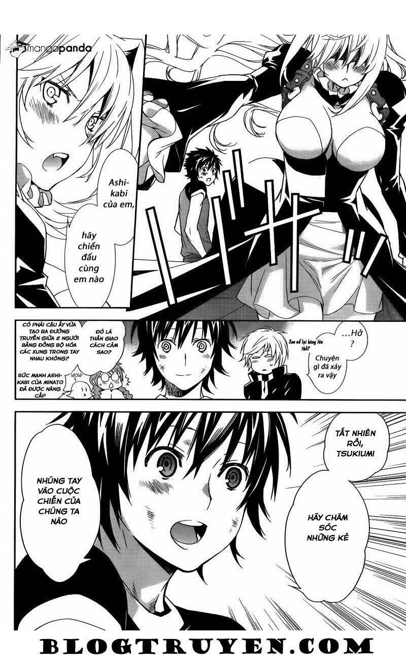 Sekirei Chương 167 Ảnh 11