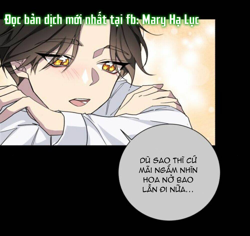 Ta Đã Từng Mong Nàng Biến Mất Chương 24 Ảnh 28