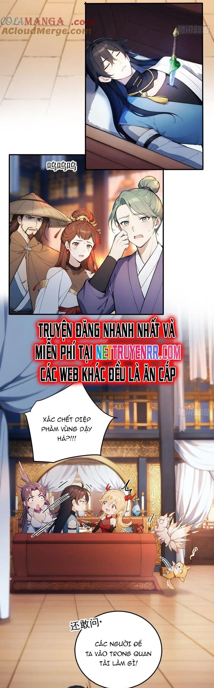 Ngươi Làm Bộ Tu Luyện Đi! Chương 81 Ảnh 20