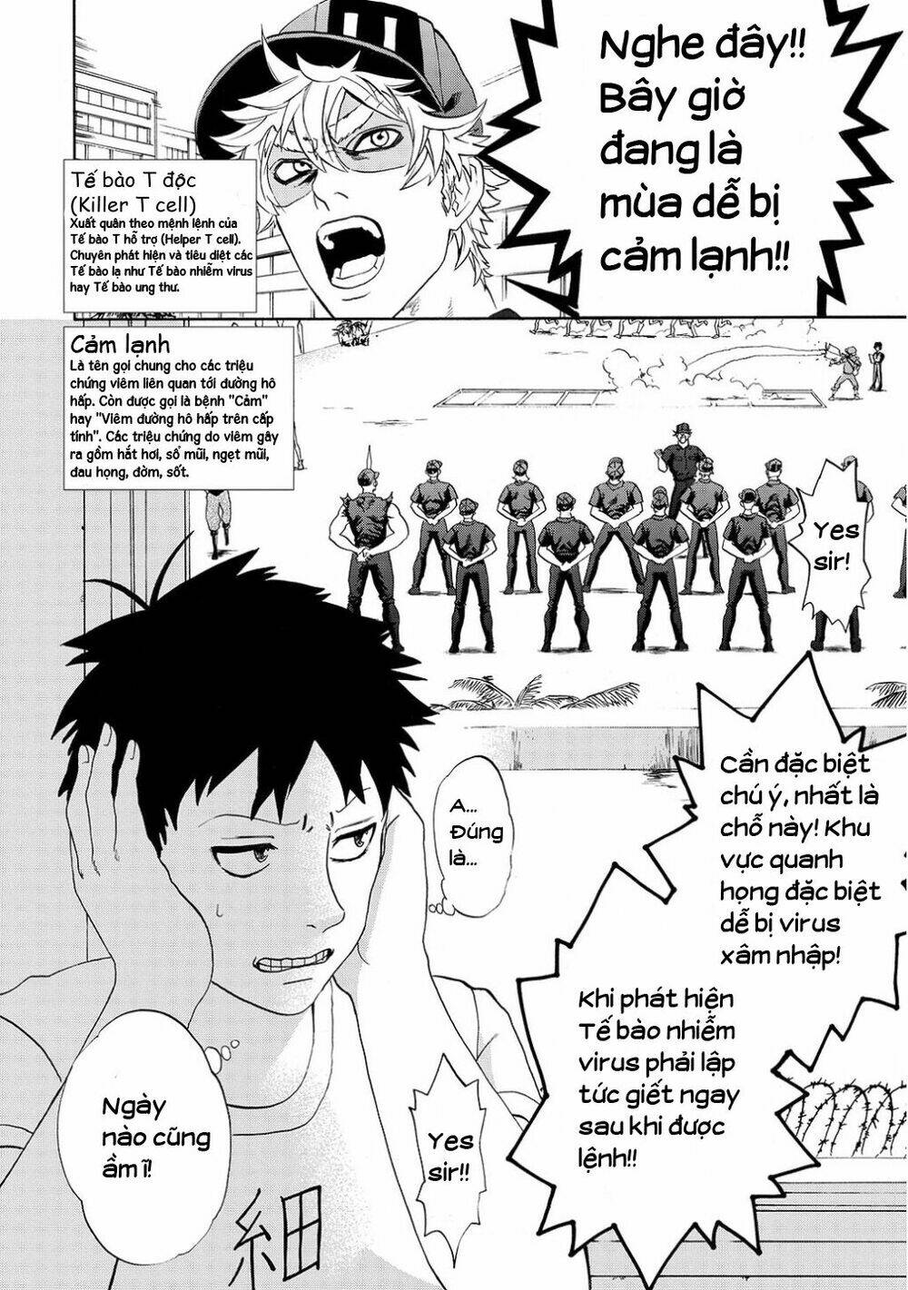 Hataraku Saibou ! Chương 11 Ảnh 4