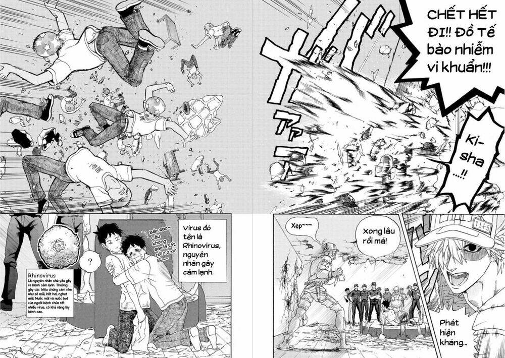 Hataraku Saibou ! Chương 11 Ảnh 25