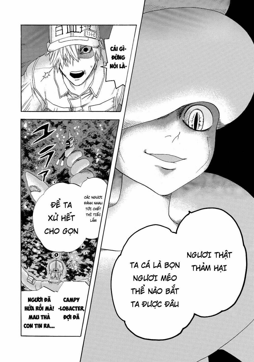 Hataraku Saibou ! Chương 19 Ảnh 15