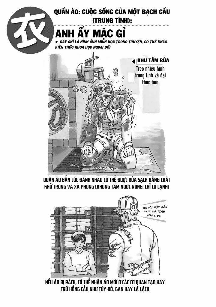 Hataraku Saibou ! Chương 20 Ảnh 47
