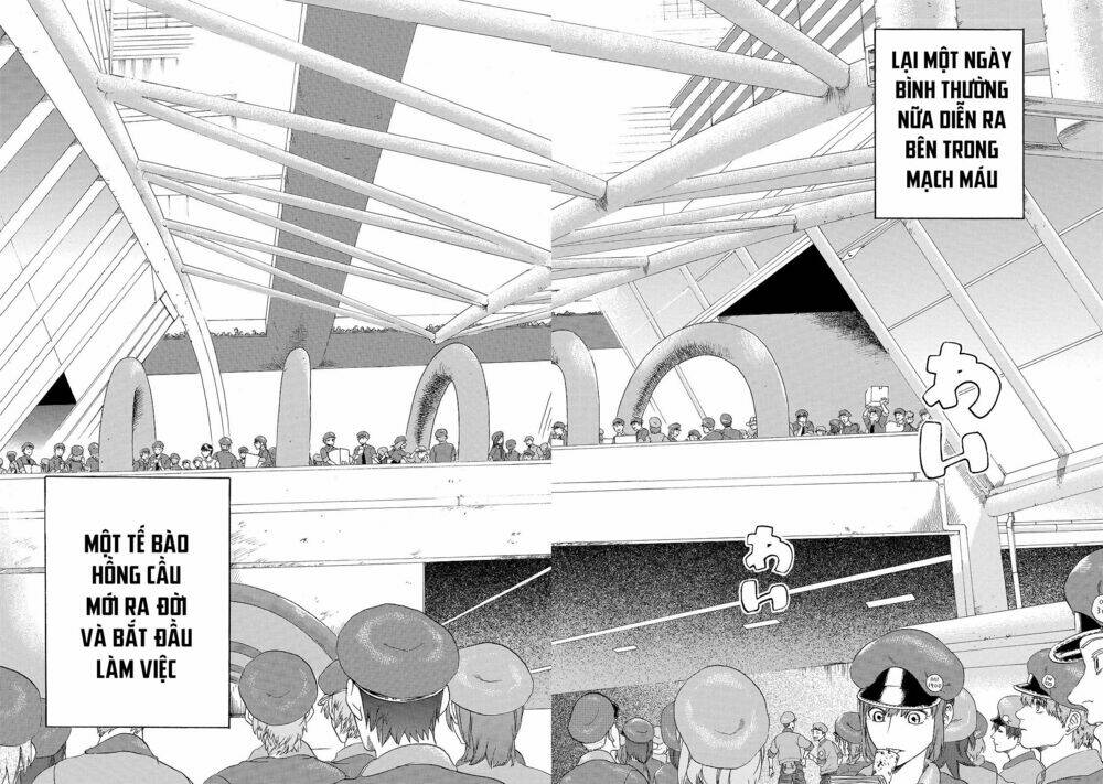 Hataraku Saibou ! Chương 17 Ảnh 14