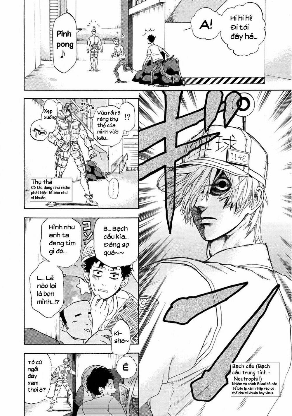 Hataraku Saibou ! Chương 11 Ảnh 12