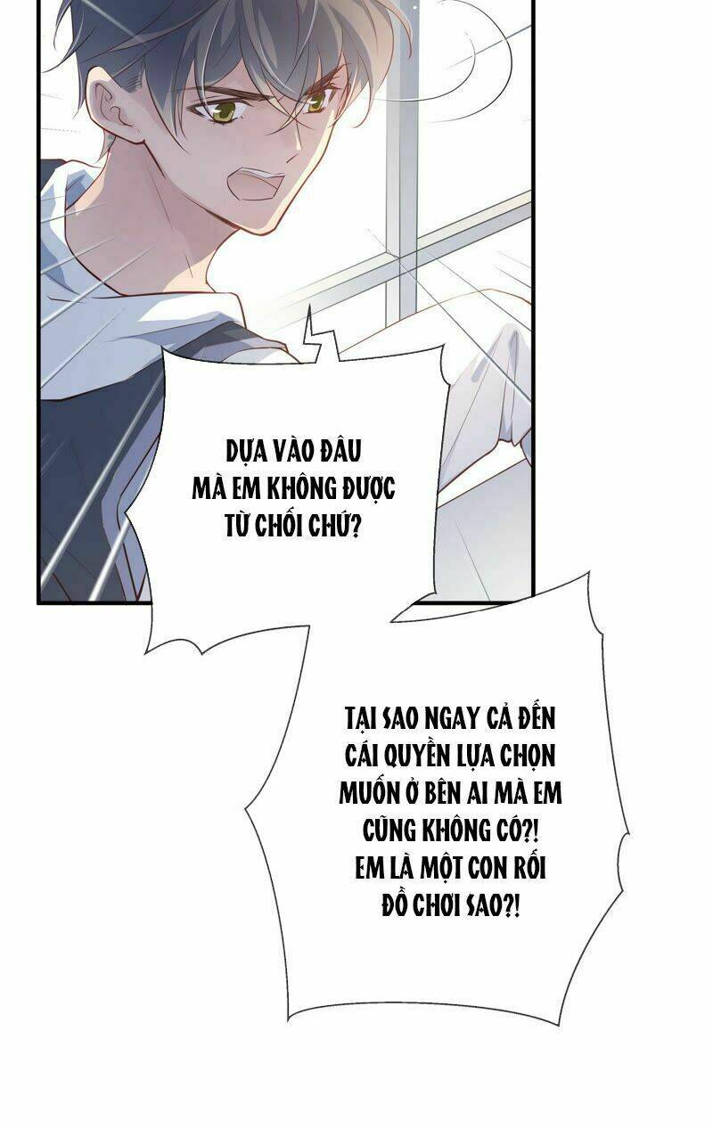 Chiến Lược Lãng Mạn Của Thịnh Thiếu Chương 78 Ảnh 20