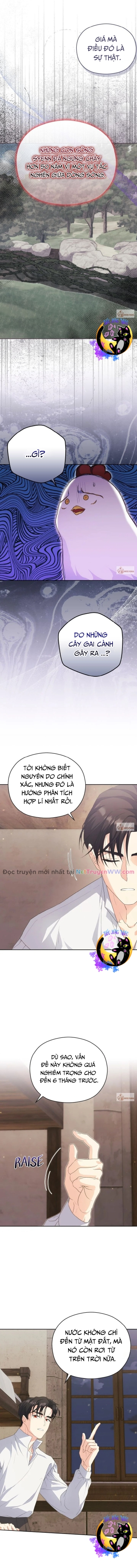 Công Chúa Trong Chuồng Gà Chương 4 Ảnh 10