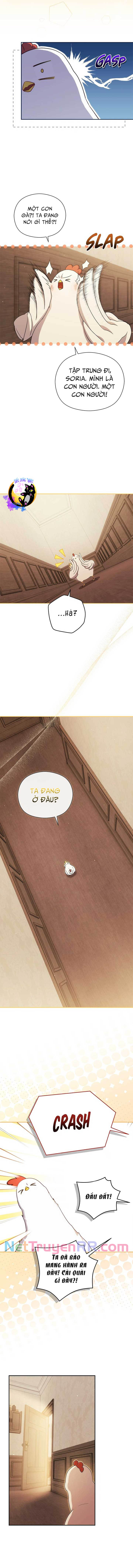 Công Chúa Trong Chuồng Gà Chương 8 Ảnh 14