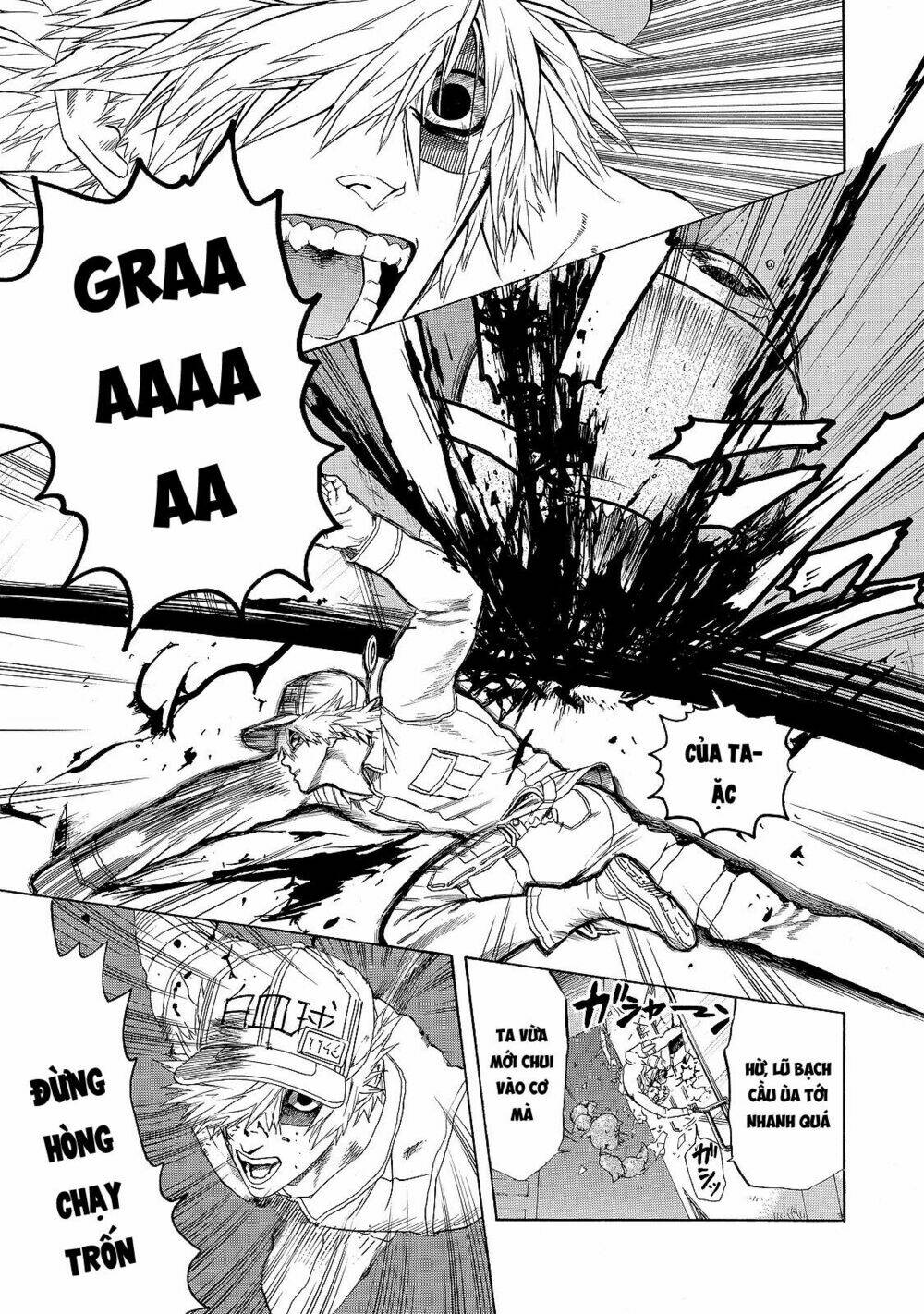 Hataraku Saibou ! Chương 17 Ảnh 22