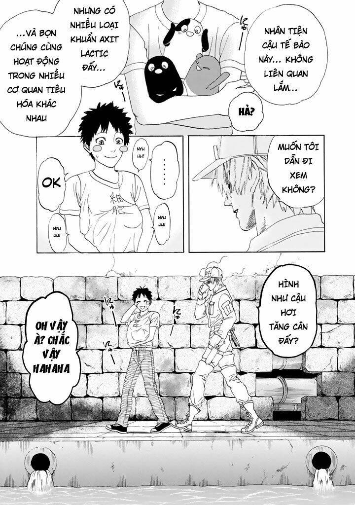 Hataraku Saibou ! Chương 20 Ảnh 45