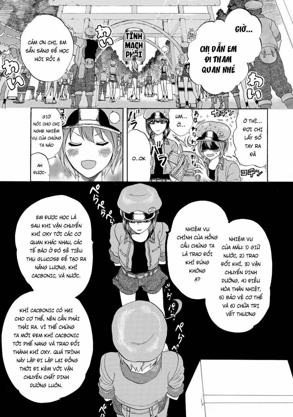 Hataraku Saibou ! Chương 17 Ảnh 6
