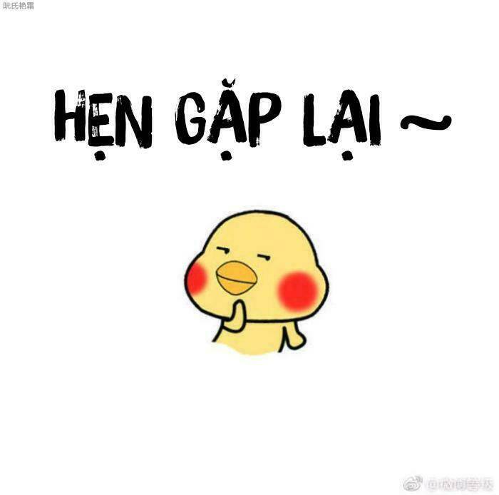 Trọng Sinh Noãn Hôn Khinh Sủng Thê Chương 18 Ảnh 29